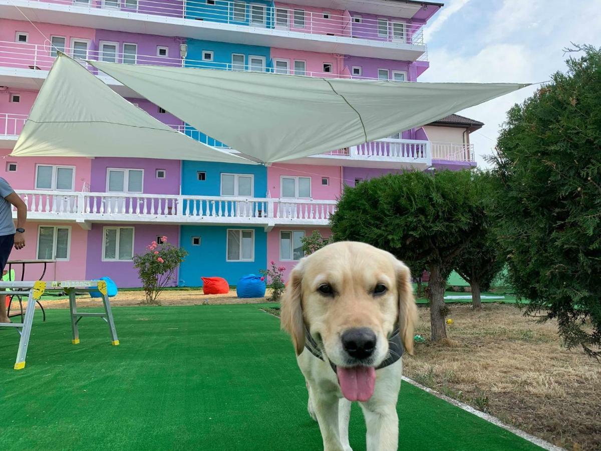 Casa Barbie Costinesti Hostel Luaran gambar